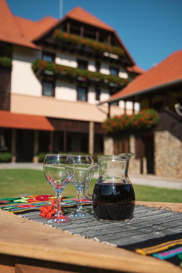 Villa Gherman Sălciua de Jos Zewnętrze zdjęcie