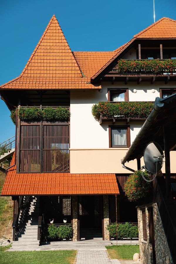 Villa Gherman Sălciua de Jos Zewnętrze zdjęcie